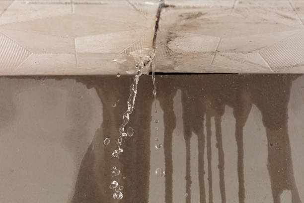 Professional Structural Drying technician working in Hamburg, IA